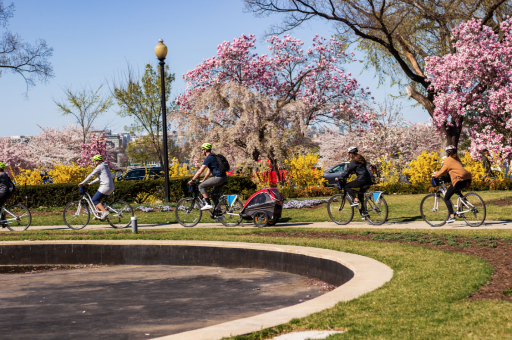 bike tours
