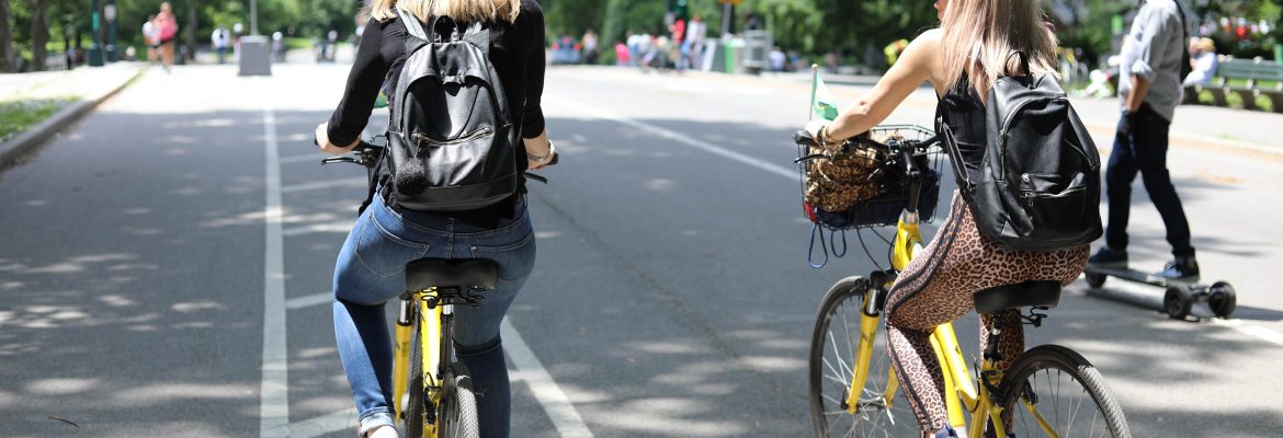 Central Park Picnic & Full Day Bike Rental 4